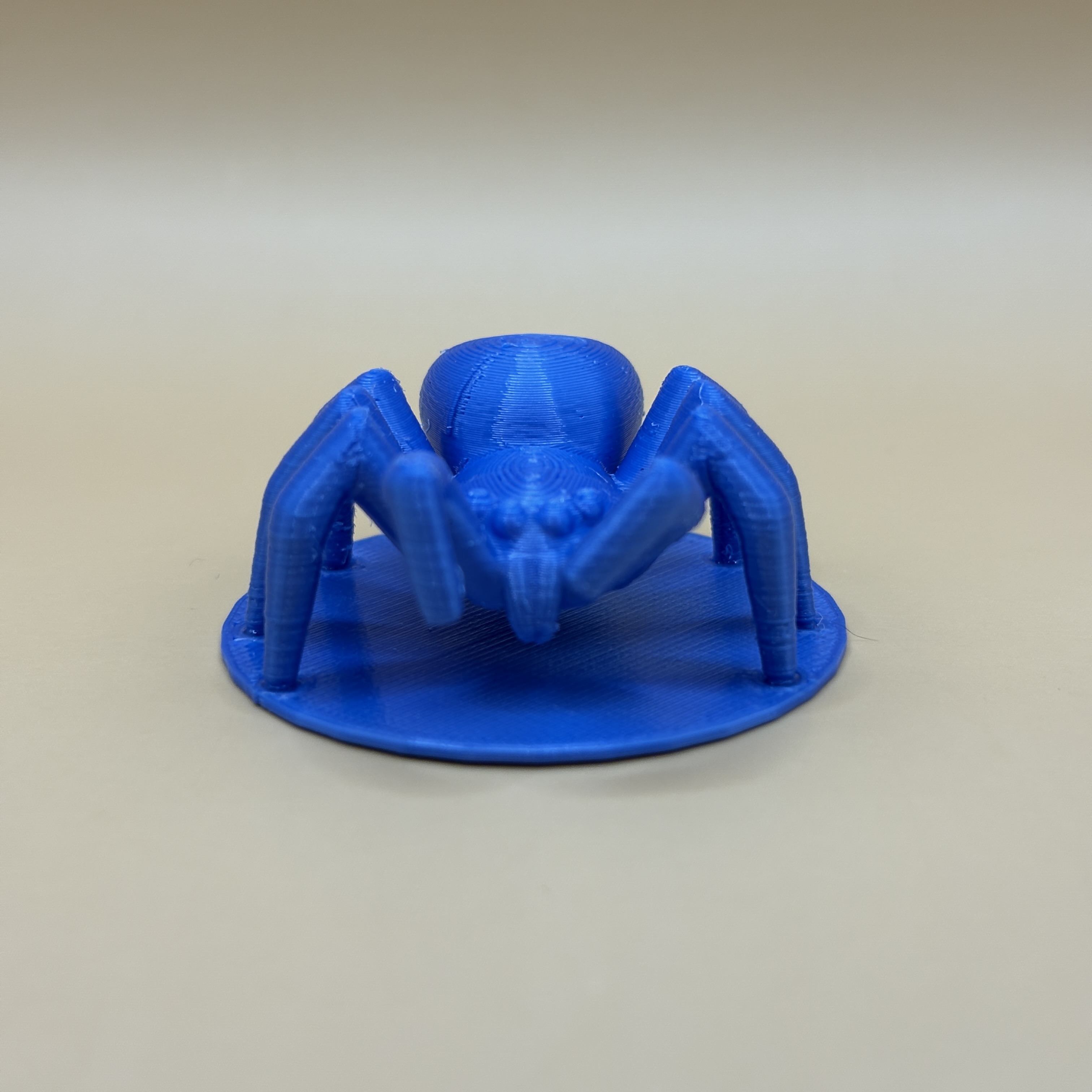 Spider