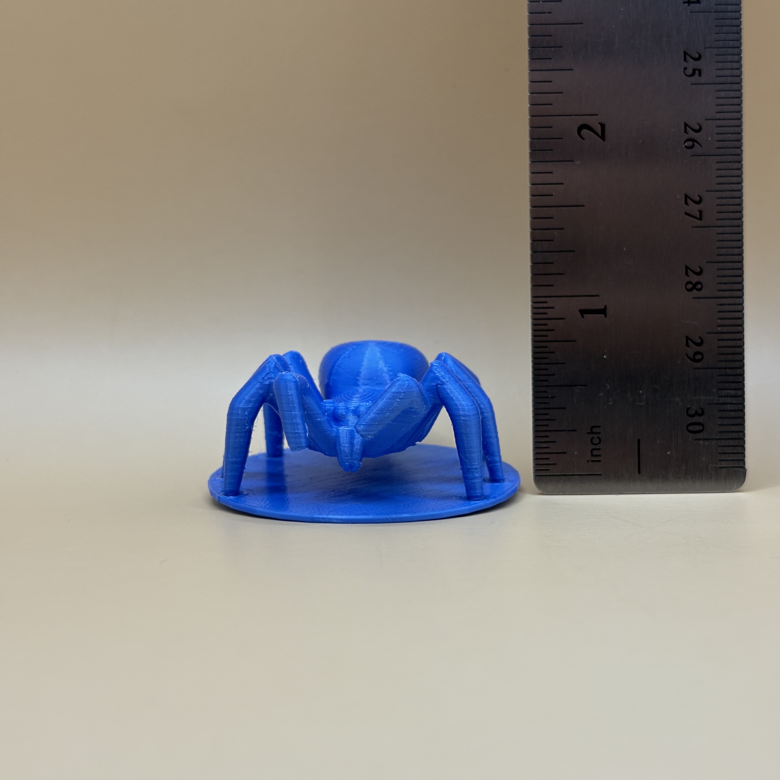 Spider